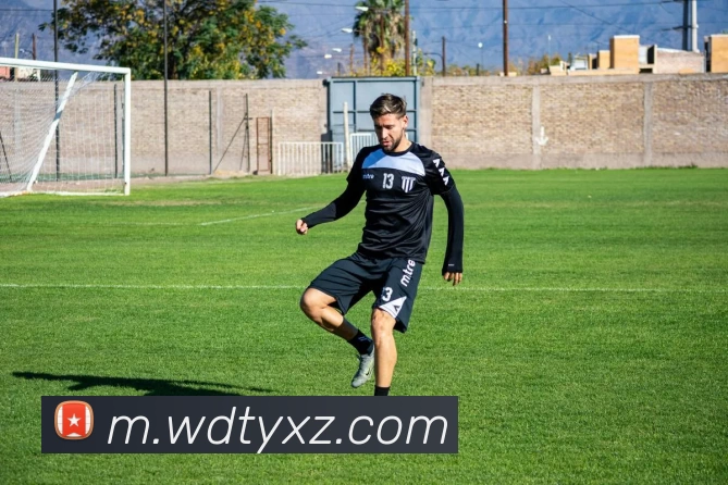 韦德体育下载发展历程